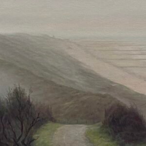 Landschappen: Mist van zee