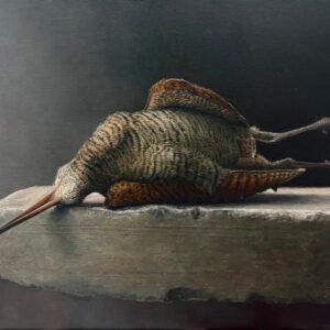 Op de rand van de stilte